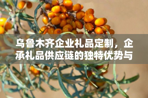 乌鲁木齐企业礼品定制，企承礼品供应链的独特优势与定制体验