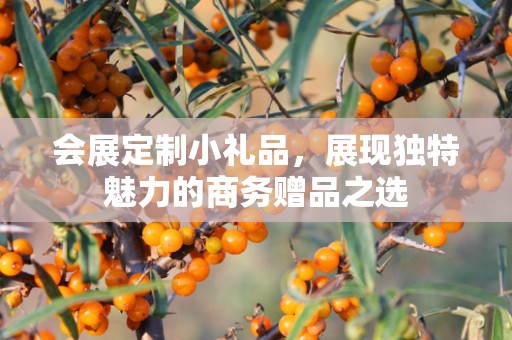 会展定制小礼品，展现独特魅力的商务赠品之选